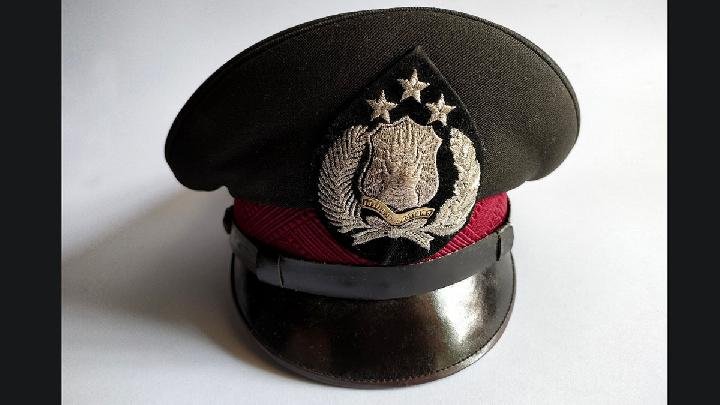 Bertemu Tim Reformasi Polri, Aktivis Lingkungan Soroti Fenomena Polisi di Jabatan Sipil